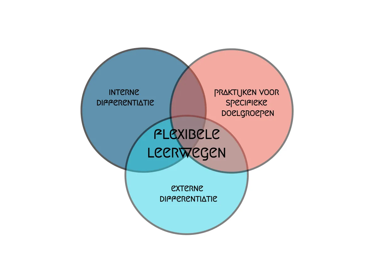 Flexibele leerwegen